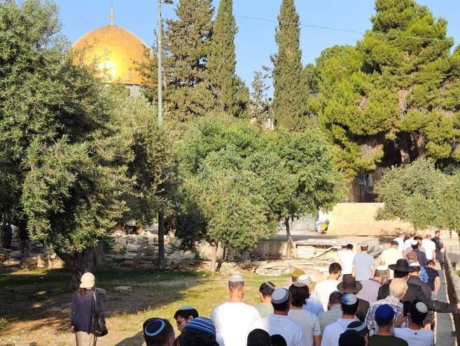 انتشار أمني مكثف وإجراءات حازمة.. هدوء نسبي في القدس خلال عيد الأسابيع
